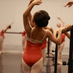 AEDC Color Block Cami Leotard